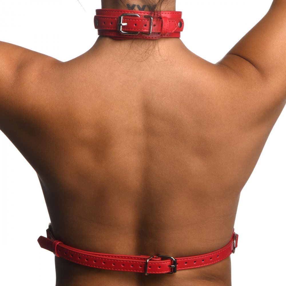 Female Chest Harnas - Rood