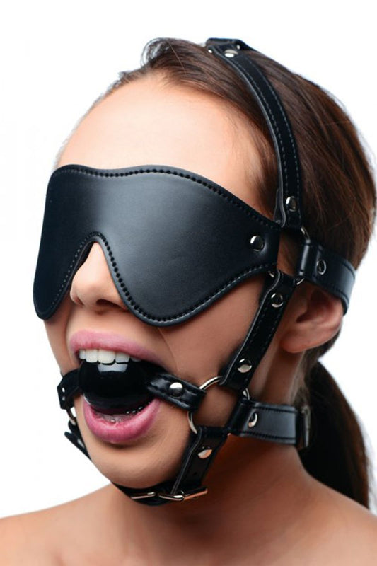 Kunstleren Masker Met Ball Gag