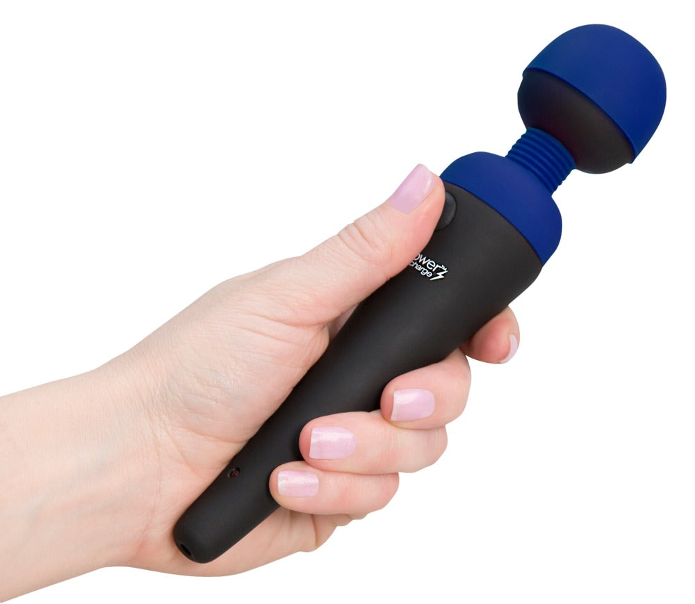 palmpower recharge blue