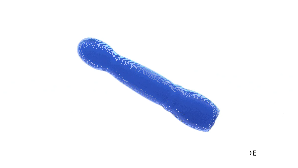 Evolved - Disco Diva Vibrator - Blauw