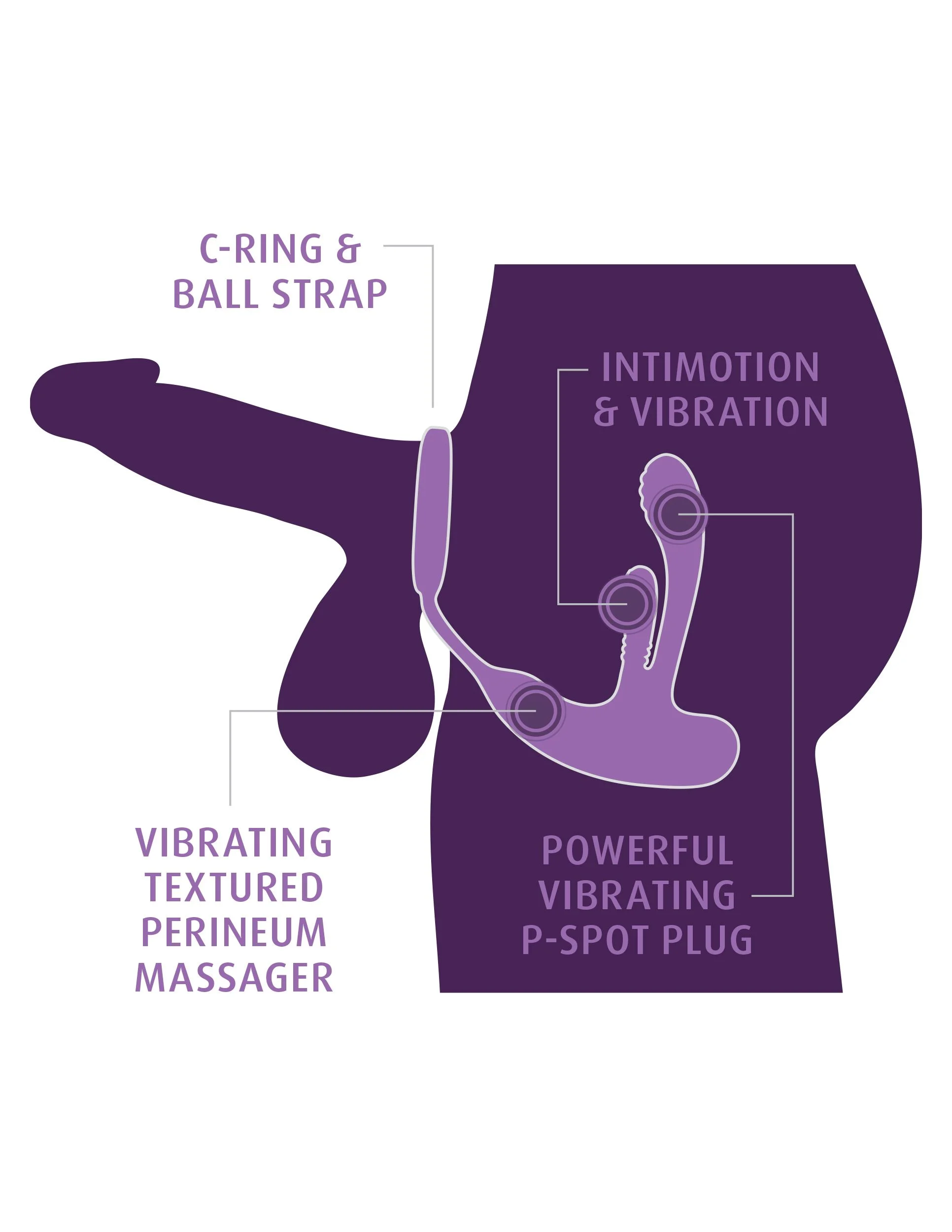 Anal Fantasy - Ass-Gasm IntiMotion - Zwart