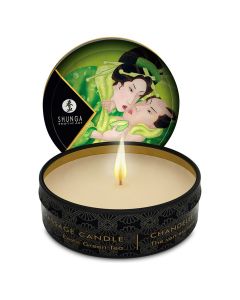 Shunga - Massagekaars Zenitude/Exotic Green Tea - 30 ml