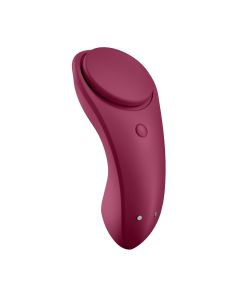Satisfyer Sexy Secret Panty Vibrator APP