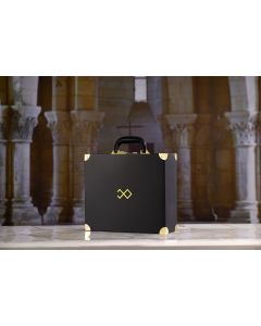 LOCKINK - Moonlight Luxe Opbergkoffer - zwart/goud