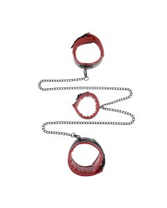 Sportsheets - Saffron Chained and Tamed